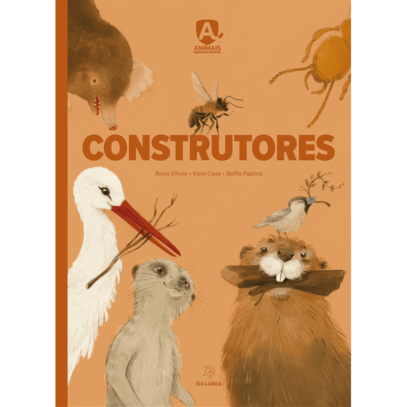 Construtores