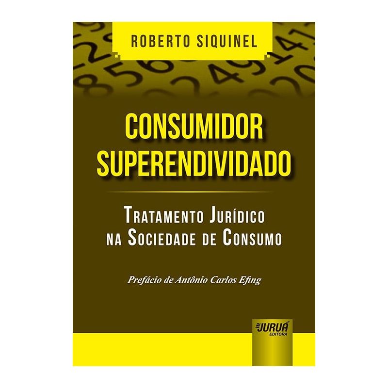 CONSUMIDOR SUPERENDIVIDADO - TRATAMENTO JURÍDICO NA SOCIEDADE DE CONSUMO - PREFÁCIO DE ANTÔNIO CARLOS EFING