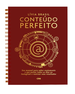 CONTEÚDO PERFEITO - SEU MANUAL PARA SABER EXATAMENTE O QUE POSTAR TODOS OS DIAS NO INSTAGRAM E RASTREAR SEUS RESULTADOS: PLANNER CAPA DURA ESPIRAL