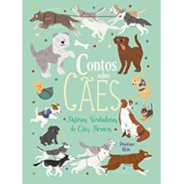 Contos sobre cães - Histórias verdadeiras de cães heroicos