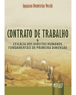 CONTRATO DE TRABALHO & A EFICÁCIA DOS DIREITOS HUMANOS FUNDAMENTAIS DE PRIMEIRA DIMENSÃO - POSSIBILIDADE DE CONCRETIZAÇÃO