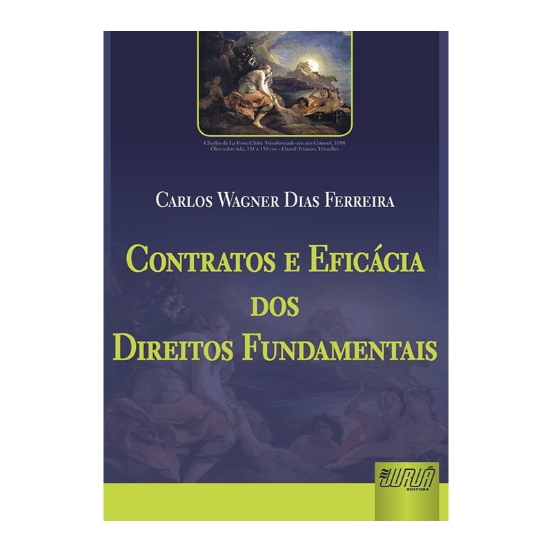 CONTRATOS E EFICÁCIA DOS DIREITOS FUNDAMENTAIS