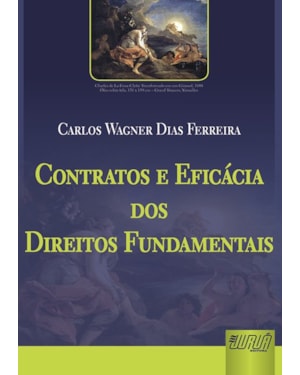CONTRATOS E EFICÁCIA DOS DIREITOS FUNDAMENTAIS