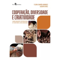 Cooperação, diversidade e criatividade: transformações sociomateriais em territórios latino-americanos