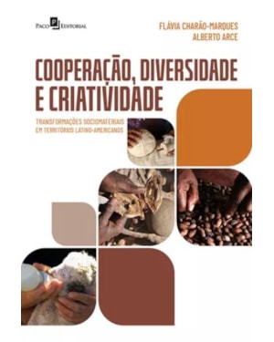Cooperação, diversidade e criatividade: transformações sociomateriais em territórios latino-americanos