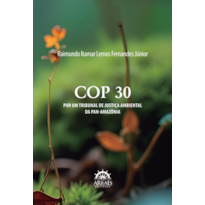 COP 30: Por um tribunal de justiça ambental da Pan-Amazônia