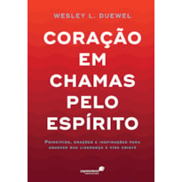 CORAÇÃO EM CHAMAS PELO ESPÍRITO: PRINCÍPIOS, ORAÇÕES E INSPIRAÇÕES PARA AQUECER SUA LIDERANÇA E A VIDA CRISTÃ