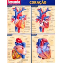 CORACAO RESUMAO - 1
