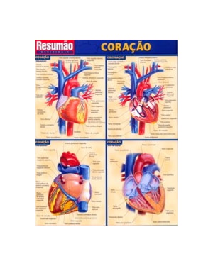 CORACAO RESUMAO - 1
