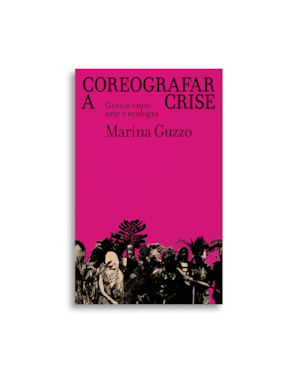 COREOGRAFAR A CRISE: GESTOS ENTRE ARTE E ECOLOGIA