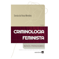 CRIMINOLOGIA FEMINISTA - NOVOS PARADIGMAS - SÉRIE IDP - 3ª EDIÇÃO 2024