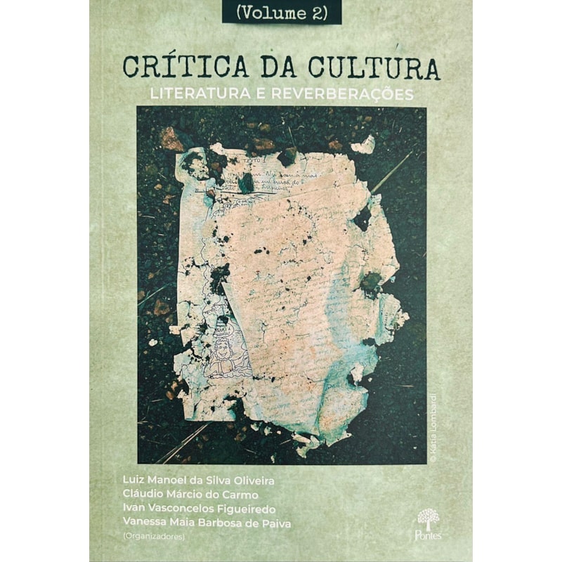 CRÍTICA DA CULTURA, LITERATURA E REVERBERAÇÕES - VOL. 2