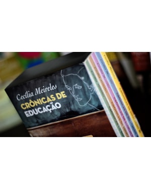 Crônicas de educação