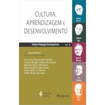 CULTURA, APRENDIZAGEM E DESENVOLVIMENTO VOL. 2 - JEROME BRUNER, MICHAEL COLE, JAMES V. WERTSCH, OLIVER SACKS E ANA TEBEROSKY