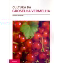 Cultura da groselha vermelha