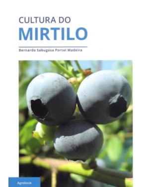 Cultura do mirtilo
