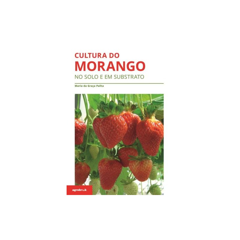 Cultura do morango: no solo e em substrato