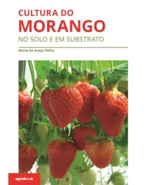 Cultura do morango: no solo e em substrato