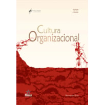 CULTURA ORGANIZACIONAL - COL. ADMINISTRACAO E SOCIEDADE - 3