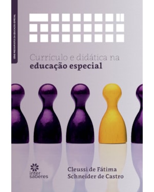 CURRÍCULO E DIDÁTICA NA EDUCAÇÃO ESPECIAL