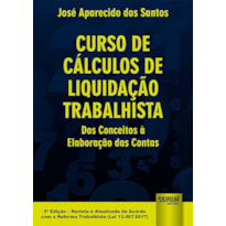 CURSO DE CÁLCULOS DE LIQUIDAÇÃO TRABALHISTA - DOS CONCEITOS À ELABORAÇÃO DAS CONTAS