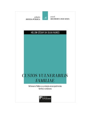 Custos Vulnerabilis Familiae: Defensoria Pública e a proteção emancipatória das famílias vulneráveis