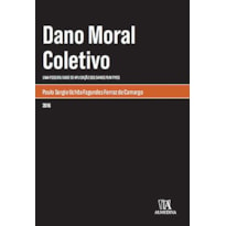 Dano moral coletivo : Uma possibilidade de aplicação dos danos punitivos