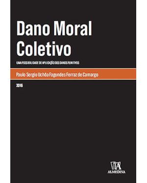 Dano moral coletivo : Uma possibilidade de aplicação dos danos punitivos