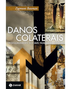 DANOS COLATERAIS: DESIGUALDADES SOCIAIS NUMA ERA GLOBAL