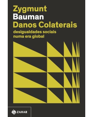 DANOS COLATERAIS (NOVA EDIÇÃO): DESIGUALDADES SOCIAIS NUMA ERA GLOBAL