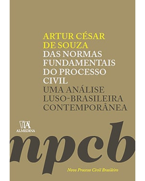 Das normas fundamentais do processo civil: Uma análise luso-brasileira contemporânea