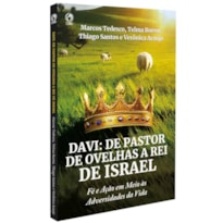 DAVI: DE PASTOR DE OVELHAS A REI DE ISRAEL (LIVRO DE APOIO JOVENS)
