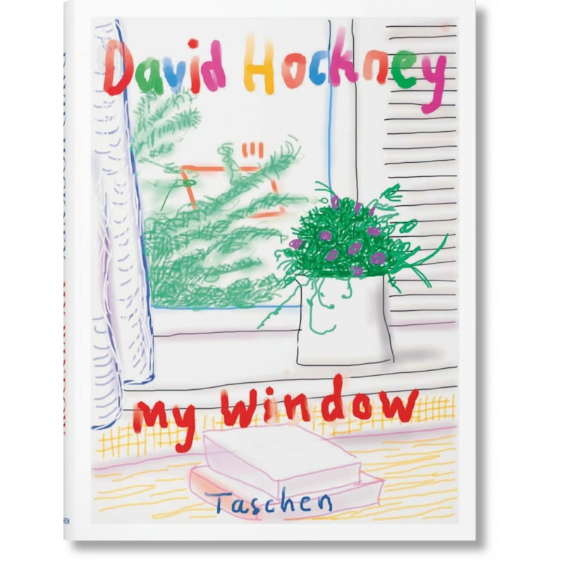 David hockney. my window