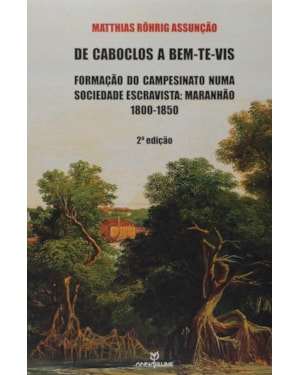 DE CABOCLOS A BEM-TE-VIS: FORMACAO DO CAMPESINATO NUMA SOCIEDADE ESCRAVISTA