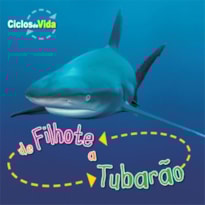 DE FILHOTE A TUBARÃO