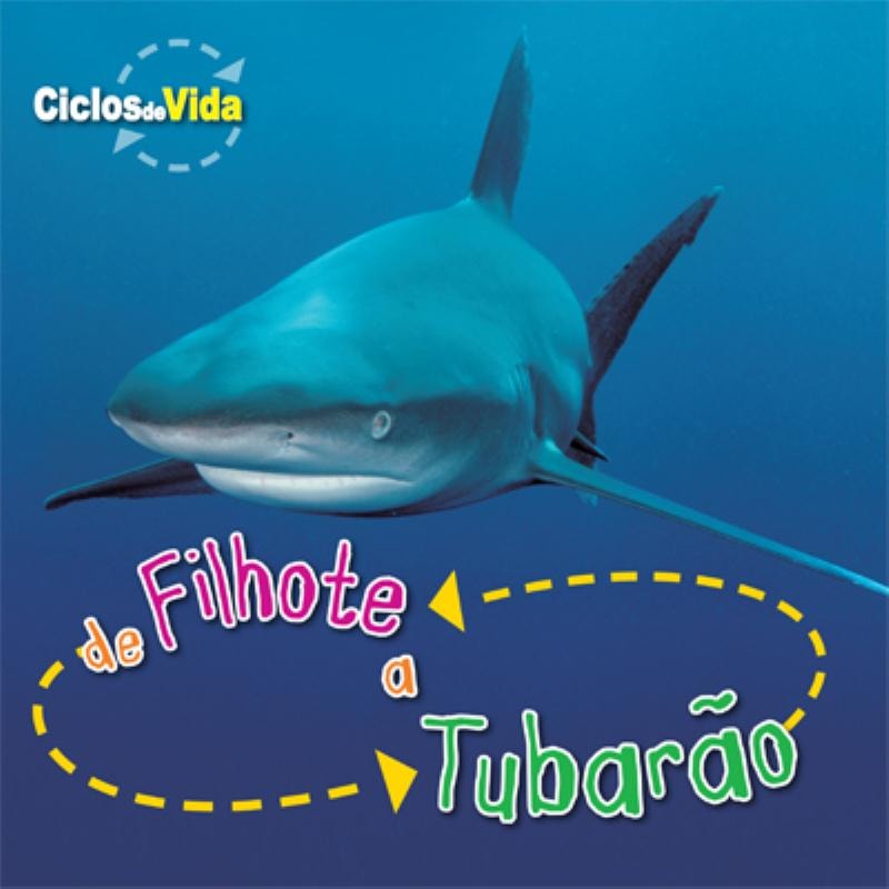 DE FILHOTE A TUBARÃO