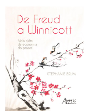 DE FREUD A WINNICOTT: MAIS ALÉM DA ECONOMIA DO PRAZER