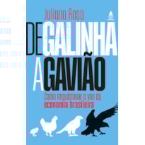 DE GALINHA A GAVIÃO: COMO IMPULSIONAR O VOO DA ECONOMIA BRASILEIRA