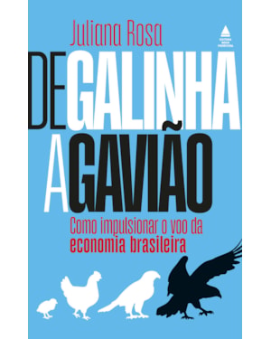 DE GALINHA A GAVIÃO: COMO IMPULSIONAR O VOO DA ECONOMIA BRASILEIRA