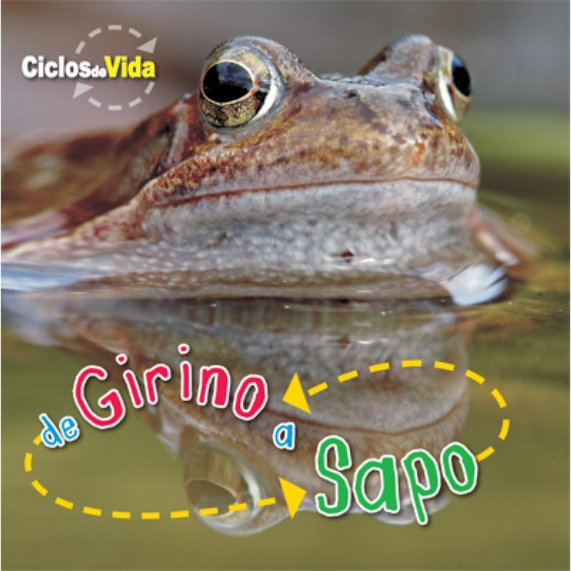 DE GIRINO A SAPO