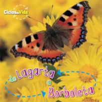 DE LAGARTA A BORBOLETA