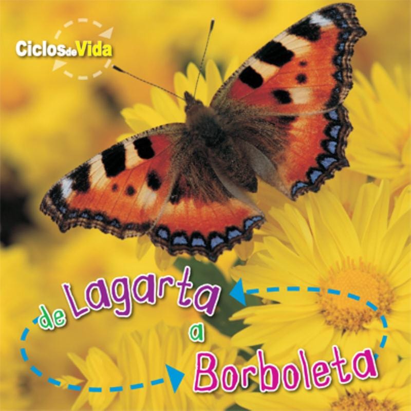 DE LAGARTA A BORBOLETA