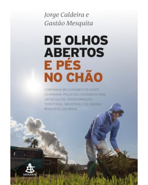 DE OLHOS ABERTOS E PÉS NO CHÃO: UMA GRANDE EPOPEIA DE EMPREENDEDORISMO NO BRASIL