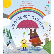 DE ONDE VEM A CHUVA?: MEU PRIMEIRO LIVRO DOS PORQUÊS
