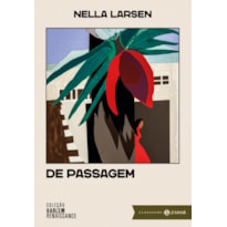 DE PASSAGEM: EDIÇÃO COMENTADA (COLEÇÃO HARLEM RENAISSANCE)
