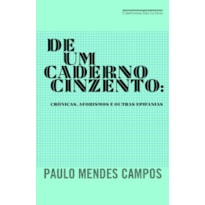 DE UM CADERNO CINZENTO