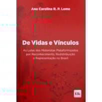 DE VIDAS E VINCULOS DE VIDAS E VINCULOS