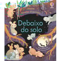 DEBAIXO DO SOLO: JANELAS DIVERTIDAS