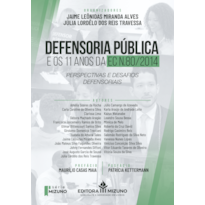 Defensoria pública e os 11 anos da EC nº 80/14: perspectivas e desafios defensoriais