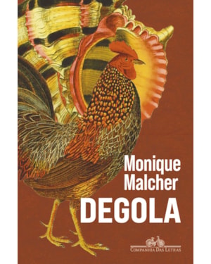 Degola